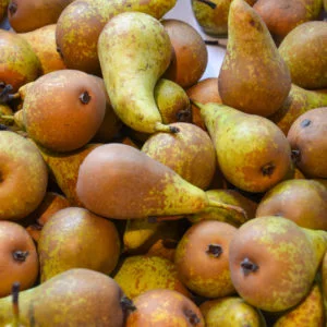 Poires conférence bio (be)