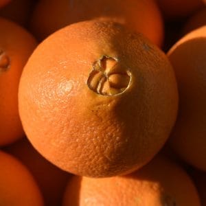 Oranges Navel (IT)