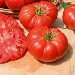 Tomate marmande  BIO(FR)
