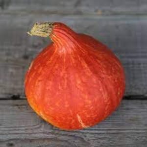 Courge Potimarron bio (BE)