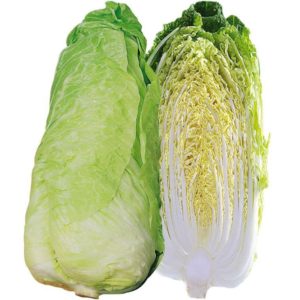 Laitue pain de sucre bio  (BE)