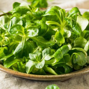 salade de blé bio (be)