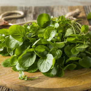 Cresson (Belgique) bio