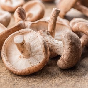 Champignon Shiitake bio (be)top